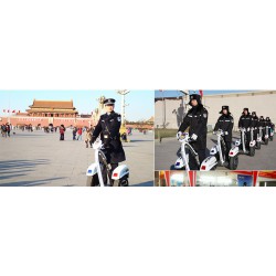 新款新世紀(jì)機(jī)器人哪里買(mǎi)：哪兒有新世紀(jì)機(jī)器人價(jià)格