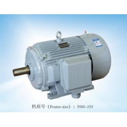 代理閥門(mén)電機(jī)_大量供應(yīng)銷(xiāo)量好的YE2系列三相異步電動(dòng)機(jī)