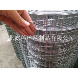 全球領(lǐng)導(dǎo)品牌¤廠家濾科供應(yīng)優(yōu)質(zhì)不銹鋼鋼筋電焊網(wǎng)，價格也不