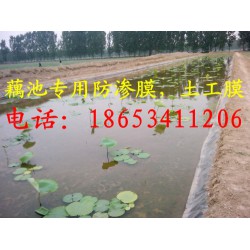 藕池種植防滲膜 水產防滲膜  養(yǎng)殖防滲膜