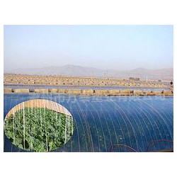 市場上品牌好的灌漿膜在哪里可以找到，灌漿膜圖片