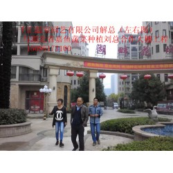 濰坊可信賴的蔬菜大棚建造公司，當(dāng)屬千匯溫室——蔬菜大棚造價(jià)