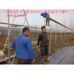 濰坊可靠的蔬菜大棚建造公司，當(dāng)屬千匯溫室，蔬菜大棚建造