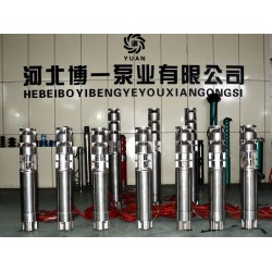 博一泵業(yè)供應(yīng)質(zhì)量好的不銹鋼潛水泵——耐腐蝕潛水泵價格優(yōu)惠