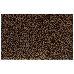 哪里有賣品牌好的云南涂料，供應(yīng)優(yōu)質(zhì)昆明塑粉-云南塑粉