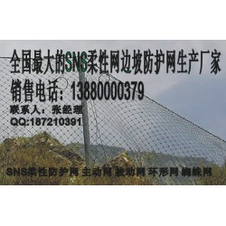 遂寧被動網(wǎng)，新款被動防護網(wǎng)成都有售