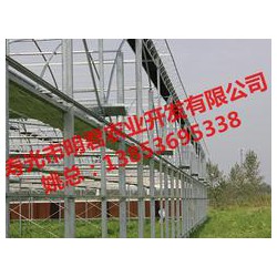 【誠薦】智能溫室大棚建設(shè)訊息，溫室大棚搭建報價