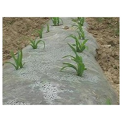 具有口碑的玉米地膜提供商，當(dāng)屬南寧市晟和興塑膠，貴州哪里有農(nóng)用地膜