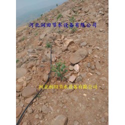 絳縣果樹滴灌PE管|小管出流、網(wǎng)式過(guò)濾器|配套促銷