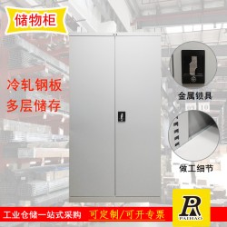 揚州重型置物柜雙開門可調節(jié)空間儲物柜工具量具柜