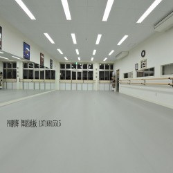 PVC舞蹈專用地膠，PVC專業(yè)舞蹈地膠