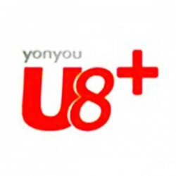 用友u8+成長型企業(yè)互聯(lián)網應用平臺架構