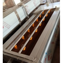 黃桃清洗機(jī)，黃桃罐頭加工全套設(shè)備