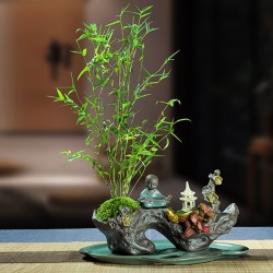 武漢辦公室盆栽室內(nèi)盆景公司花卉，武漢室外苗木商場綠植工廠盆栽
