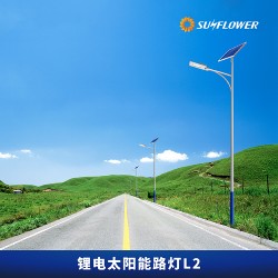 環(huán)保型鋰電智能6-8米30W太陽能LED路燈L2道路照明