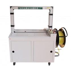 珠海斗門全自動打包機(jī) TW-101A