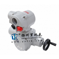 電動執(zhí)行器_電動閥門-揚州羅托克儀器儀表有限公司