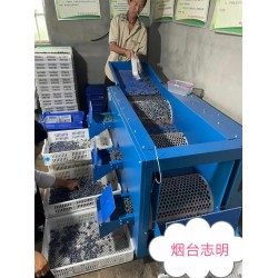 長沙市藍莓調速滾筒選果分*機廠家批發(fā)