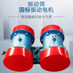 銅線振動篩振動電機