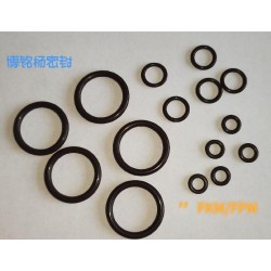 FKM/FPM氟膠O型圈密封墊PTFE涂層密封圈異型件加工